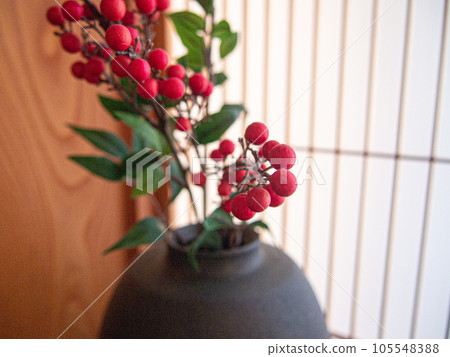 室內綠南天 105548388