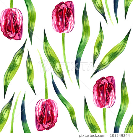Red tulips on the white background. Watercolor seamless pattern with spring flowers. Red tulips on the white background. Watercolor seamless pattern with spring flowers. 105549244