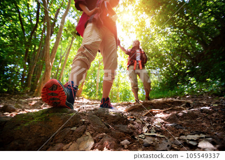 Two hikers with backpacks walking in the forest 105549337