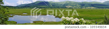 Panorama of Yashimagahara Marsh in summer [Kirigamine Highland] Shimosuwa Town, Nagano Prefecture, July 105549834