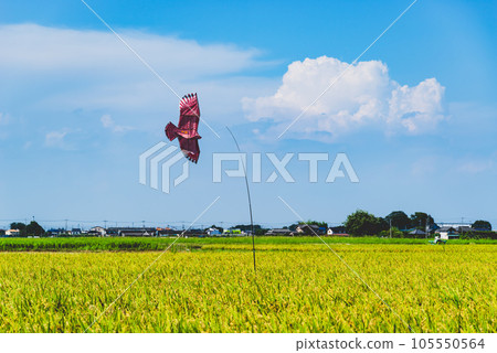 夏日天空中早稻田和雷雲上空飛翔的驅鳥風箏 a-2 高飽和度啞光 105550564
