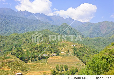 Mountain view of rice terraced field in Sapa, Vietnam 105550837