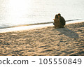 A couple walking along the beach 105550849