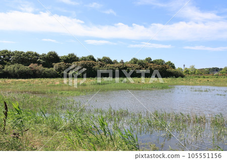 Scenery of Haraichi Numashitanoike Retention Reservoir swollen by heavy rain 105551156
