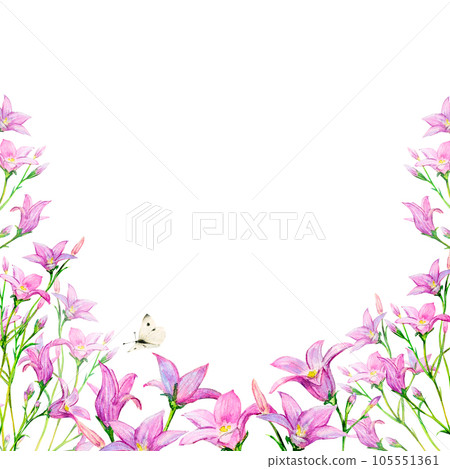 Field bluebell hand-painted watercolor illustration frame of delicate flowers and butterfly on white background. Meadow wildflowers for textile, logo, postcards, invitation, printing, banner, poster 105551361