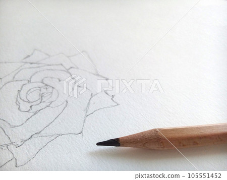 pencil sketching of rose, drawing on art paper with a pencil at the foreground 105551452