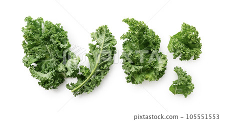 羽衣甘藍 105551553