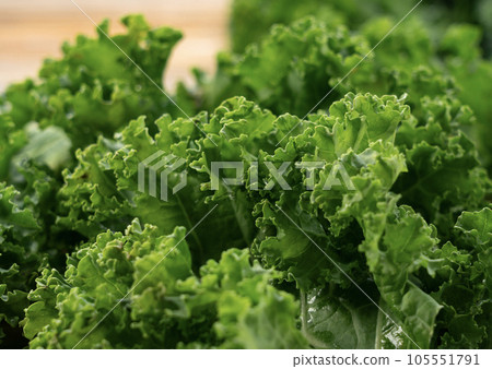 Kale Kale 105551791