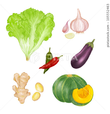 Set of Vegetables watercolor vector illustration 105552463