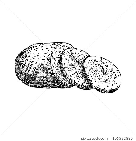 vegetable potato fresh sketch hand drawn vector vegetable potato fresh sketch hand drawn vector 105552886