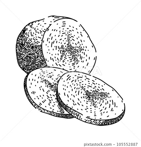 bag potato fresh sketch hand drawn vector bag potato fresh sketch hand drawn vector 105552887