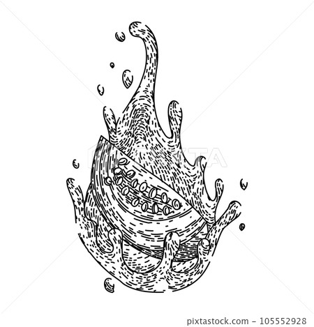 food guava fruit sketch hand drawn vector 105552928
