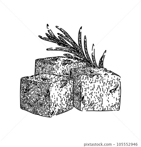 appetizer feta cheese sketch hand drawn vector appetizer feta cheese sketch hand drawn vector 105552946
