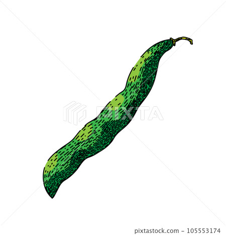 vegetable geen beans sketch hand drawn vector 105553174