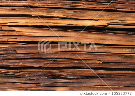 Close-up of the trunk of an old tree, bark texture. 105553772