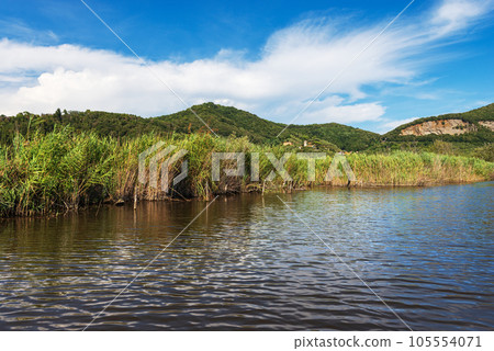 Green Reeds of Massaciuccoli Lake - Tuscany Italy Europe 105554071