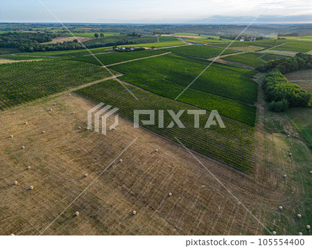 Aerial view Bordeaux Vineyard and forage fields with bales of hay in summer at sunrise Aerial view Bordeaux Vineyard and forage fields with bales of hay in summer at sunrise 105554400