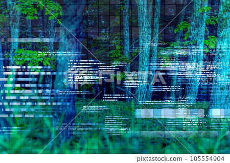 Deep woods  105554904