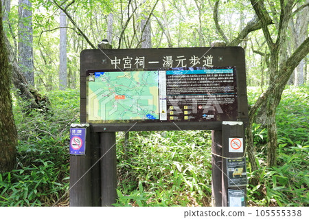 奧日光戰場原徒步旅行/栃木縣日光市 奧日光戰場原徒步旅行/栃木縣日光市 105555338