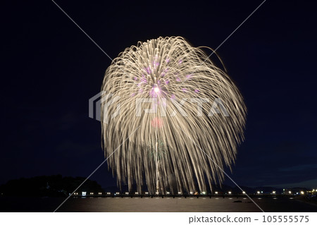 盛開在夏日夜空的華麗煙火<蒲郡農涼煙花大會> 盛開在夏日夜空的華麗煙火<蒲郡農涼煙花大會> 105555575