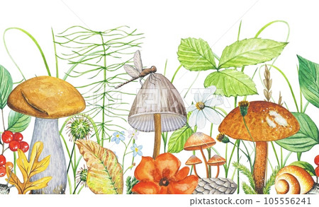 Watercolor seamless border with mushrooms, flowers, leaves, herbs. Forest mushrooms. 105556241