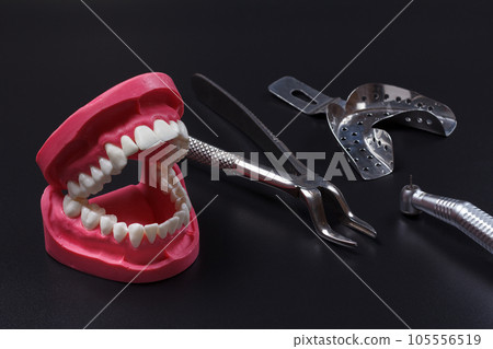 Stainless steel dental tools and a layout of a human jaw on the black background. Stainless steel dental tools and a layout of a human jaw on the black background. 105556519