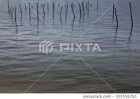 Sea background and wooden stakes 105556763