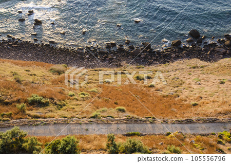Magnificent aerial view of the seaside with a dark strip of rocky beach and bright orange field plants nearby 105556796