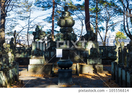 秋天的小江戶川越、秋葉的北院、五百樂館 105556814