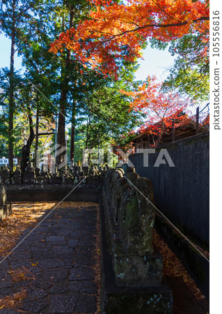 秋天的小江戶川越、秋葉的北院、五百樂館 105556816