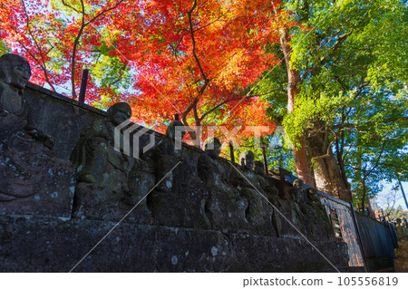 Koedo Kawagoe in autumn, Kita-in Temple in autumn leaves, Gohyakurakan Koedo Kawagoe in autumn, Kita-in Temple in autumn leaves, Gohyakurakan 105556819