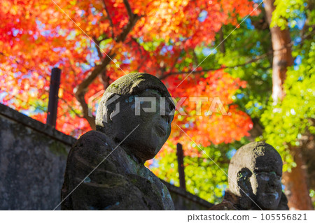 Koedo Kawagoe in autumn, Kita-in Temple in autumn leaves, Gohyakurakan Koedo Kawagoe in autumn, Kita-in Temple in autumn leaves, Gohyakurakan 105556821