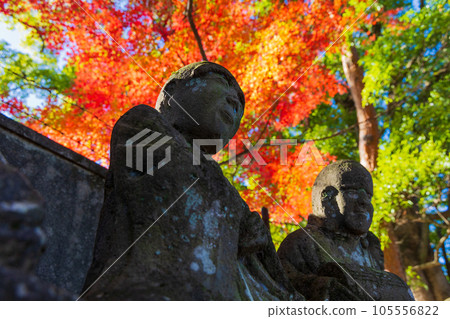 Koedo Kawagoe in autumn, Kita-in Temple in autumn leaves, Gohyakurakan Koedo Kawagoe in autumn, Kita-in Temple in autumn leaves, Gohyakurakan 105556822
