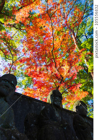 秋天的小江戶川越、秋葉的北院、五百樂館 秋天的小江戶川越、秋葉的北院、五百樂館 105556832