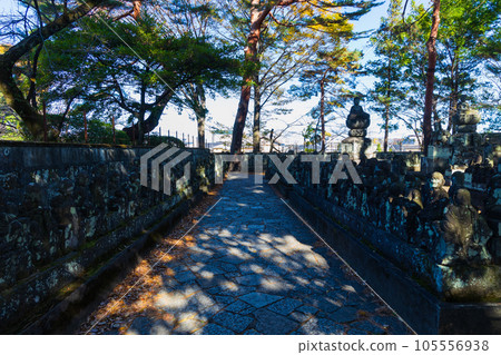 Koedo Kawagoe in autumn, Kita-in Temple in autumn leaves, Gohyakurakan Koedo Kawagoe in autumn, Kita-in Temple in autumn leaves, Gohyakurakan 105556938