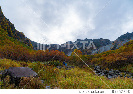 [金州] 霧中紅葉季節的唐澤馬戲團[長野縣] 105557708