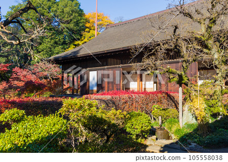Koedo Kawagoe in Autumn Kita-in Temple with Autumn Leaves Momijiyama Garden and Reception Hall 105558038