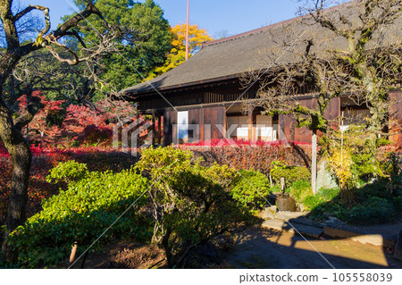 秋天的北院小江戶川越紅葉紅葉山庭園和接待大廳 105558039