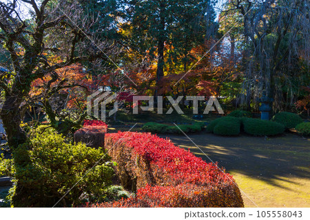 Koedo Kawagoe in Autumn Kita-in Temple Momijiyama Garden Koedo Kawagoe in Autumn Kita-in Temple Momijiyama Garden 105558043