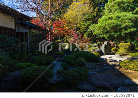 秋天的小江戶川越 北院極水之庭的紅葉 105558071