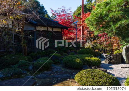 Koedo Kawagoe in autumn Autumn leaves of Kita-in Temple Kyokusui-no-niwa 105558074