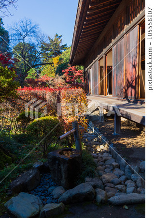 Koedo Kawagoe in Autumn Kita-in Temple with Autumn Leaves Momijiyama Garden and Reception Hall 105558107