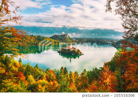 Lake Bled, Slovenia Lake Bled, Slovenia 105558306