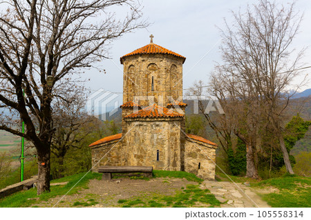 Spring landscape with Church of Archangel in Nekresi monastery 105558314