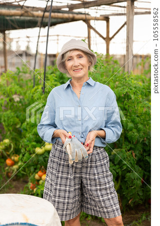 Mature woman at kitchen-garden 105558562