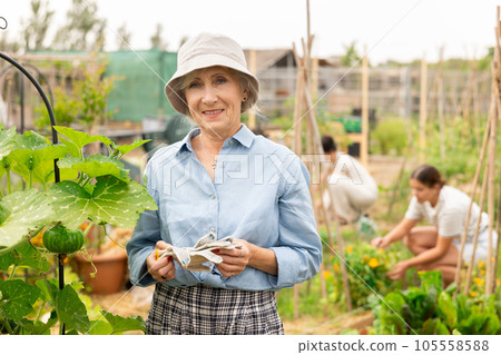 Mature woman at kitchen-garden 105558588