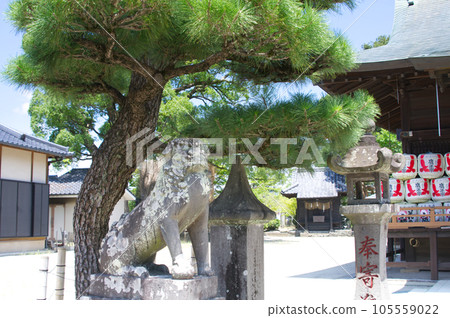 Komainu at the shrine Left 105559022