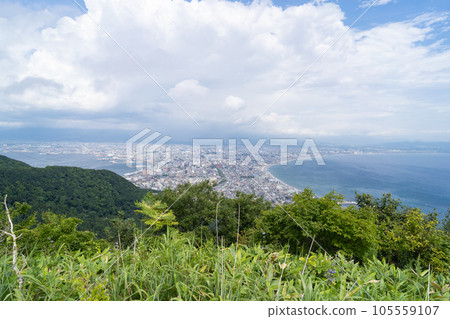 The view from the site of Senjojiki Fortress (Mount Hakodate) 105559107