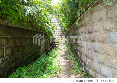 千疊敷城遺址(函館山) 千疊敷城遺址(函館山) 105559109
