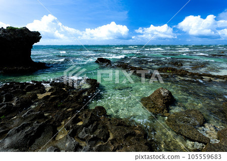 透明度出眾的海 105559683